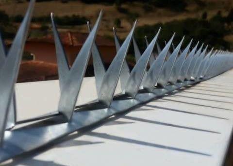 Recinto Wall Spikes di Barb L64mm Barb Thickness 0.8mm