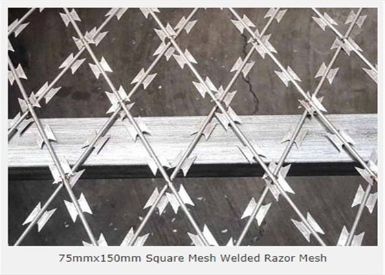 D'argento galvanizzato ha saldato l'apertura della rete metallica del rasoio di 3.2mm 75x150mm