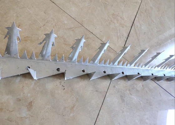 parete galvanizzata immersa calda Spike For Security di salita dello SGS di lunghezza di 1m grande anti